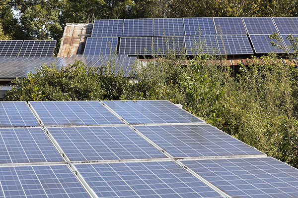 Large solar panels on the roofs of barn structures