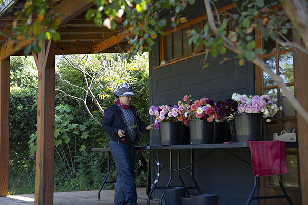 Steve O'Shea stands in front of a greenhouse on 3 Porch Farm.