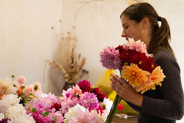 Bioplastic on flower plant rows