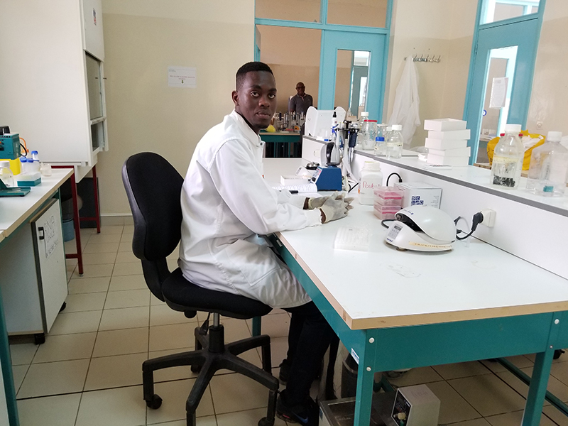 Peanut Innovation Lab student Joseph Gomis works with wild peanut relatives in Senegal.