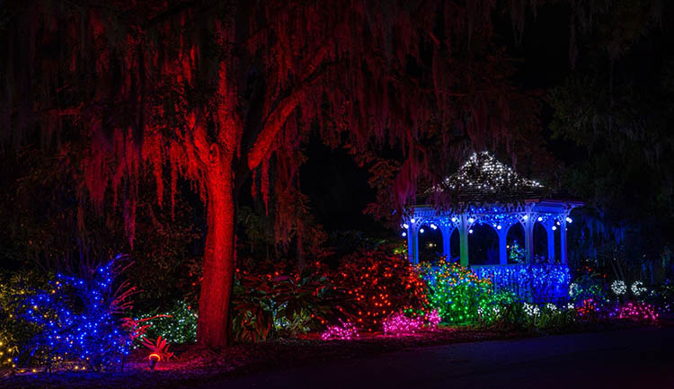 The Coastal Georgia Botanical Garden will CGBG kick off its annual holiday events with a one-night-only Holiday Lights Launch Festival on November 20.