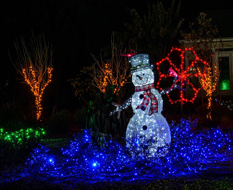 Holiday light displays, including a sparkling snowman, decorate the CGBG in Savannah, Georgia.