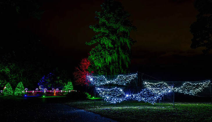 Holiday lights display including white lights shaped like angel wings