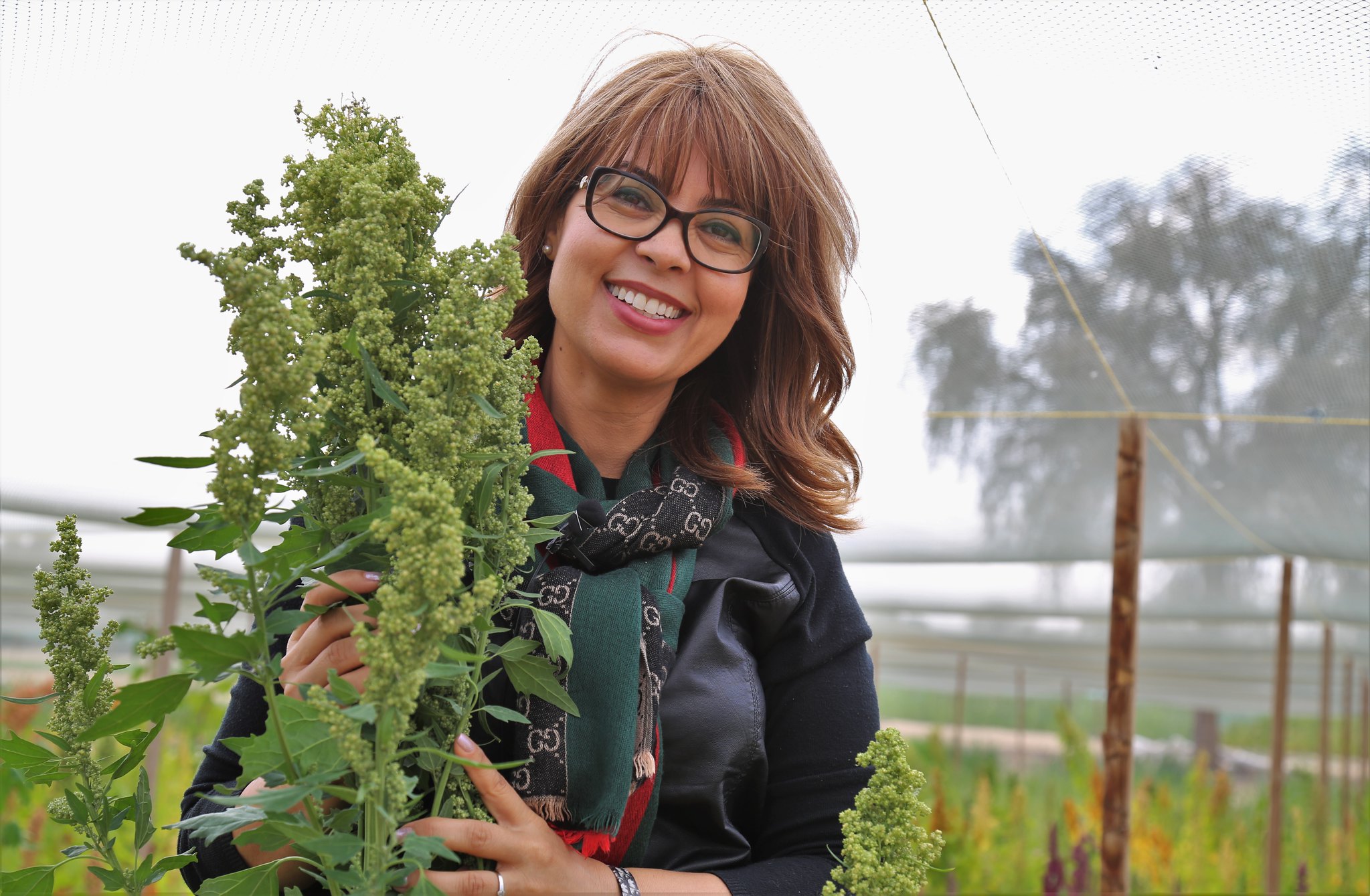 Ismahane Elouafi, the first chief scientist of the Food and Agriculture Organization (FAO) of the United Nations, has nearly two decades of experience in agricultural research and development and is internationally known for her work on promoting neglected and underutilized crops, use of non-fresh water in agriculture, and empowerment of women in science.