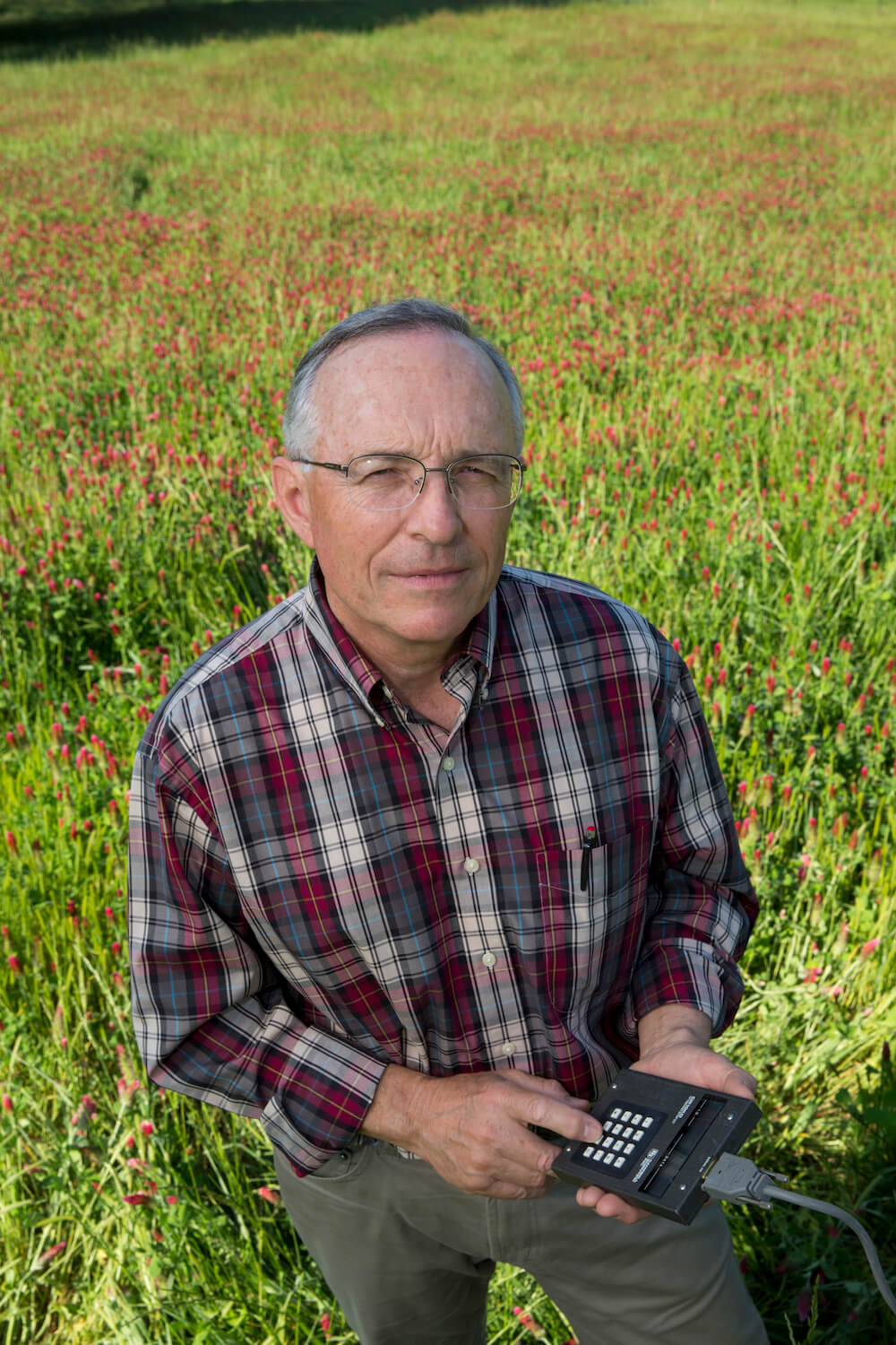 Miguel Cabrera in a field of crimson clover. 