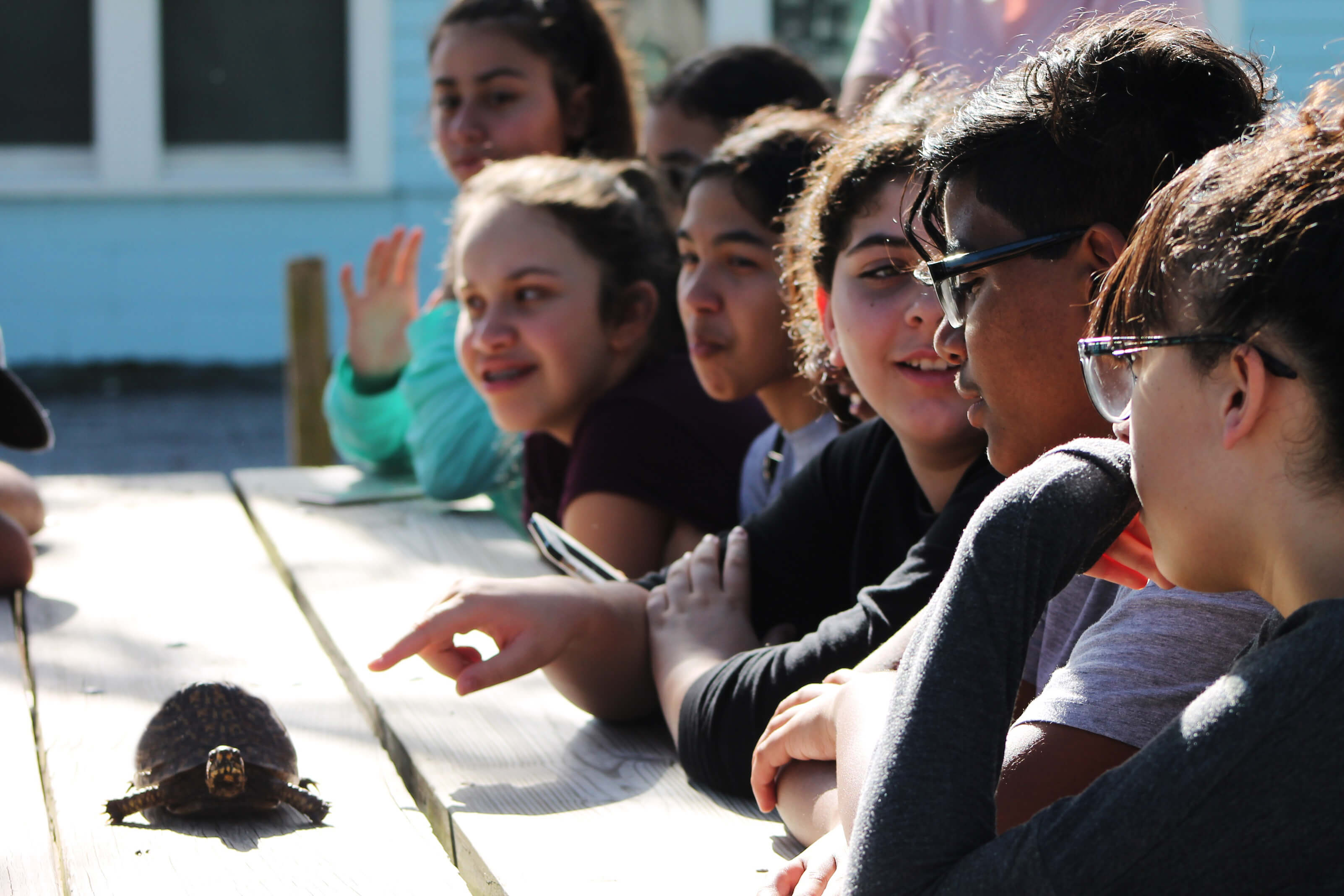 Children sit at a picnic table with a tortoise on the table top