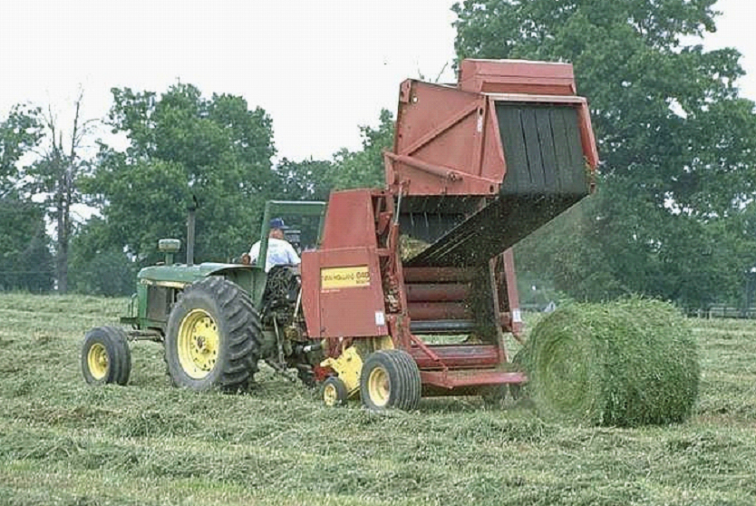 Alfalfa being baled for silage.