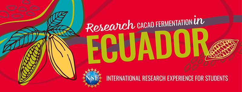 Research cacao fermentation in Ecuador, an international research experience for students
