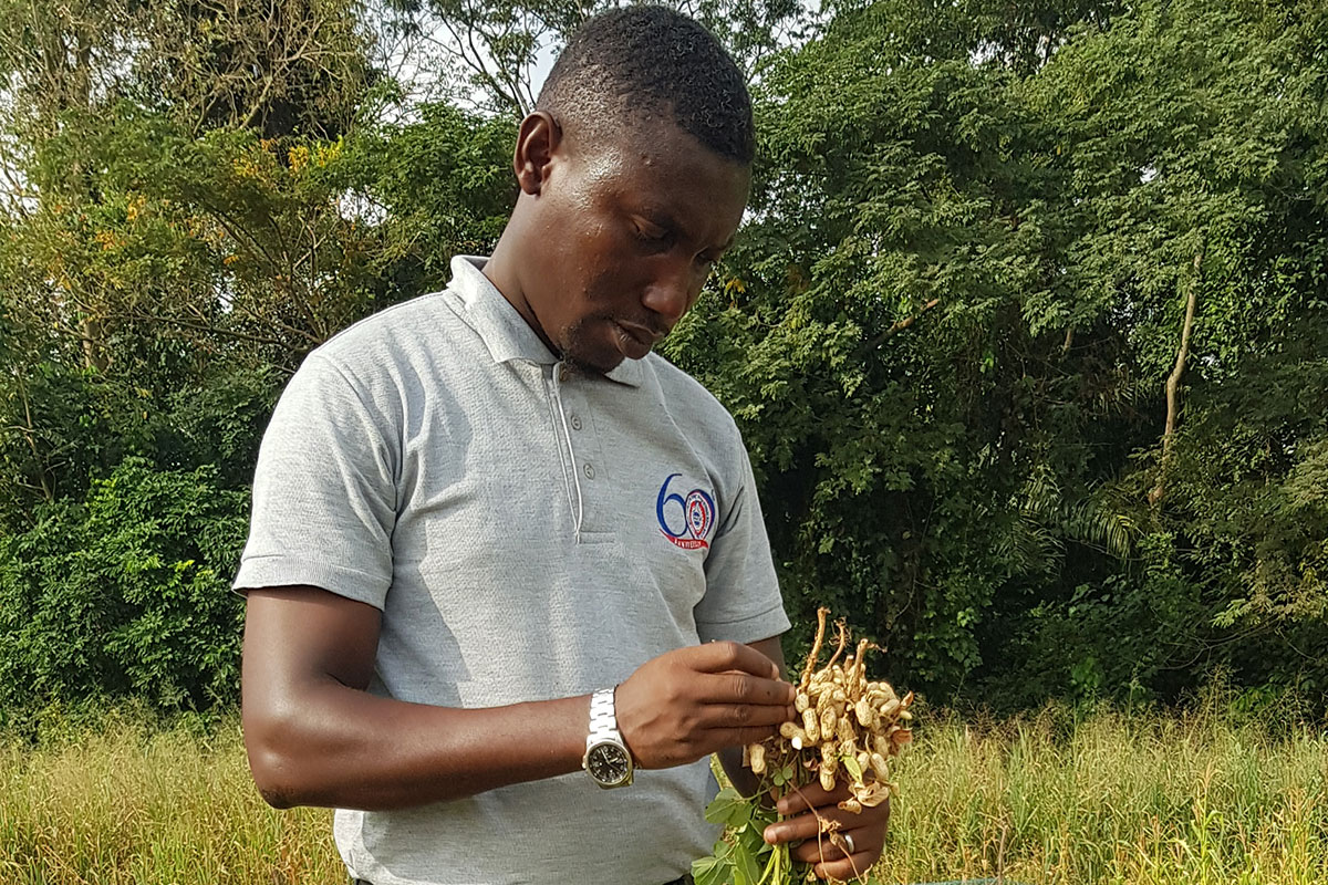 Stephen Arthur, a PhD student with the Feed the Future Innovation Lab for Peanut, works to create production packages that help farmers weigh the costs and benefits of different inputs.