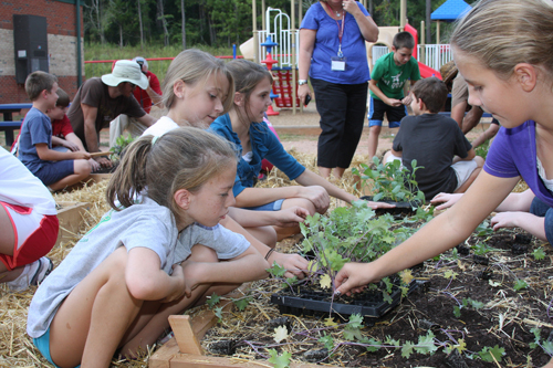 Students work in a raised bed garden at High Shoals Elementary School as part of the school's community supported agriculture fundraising project.