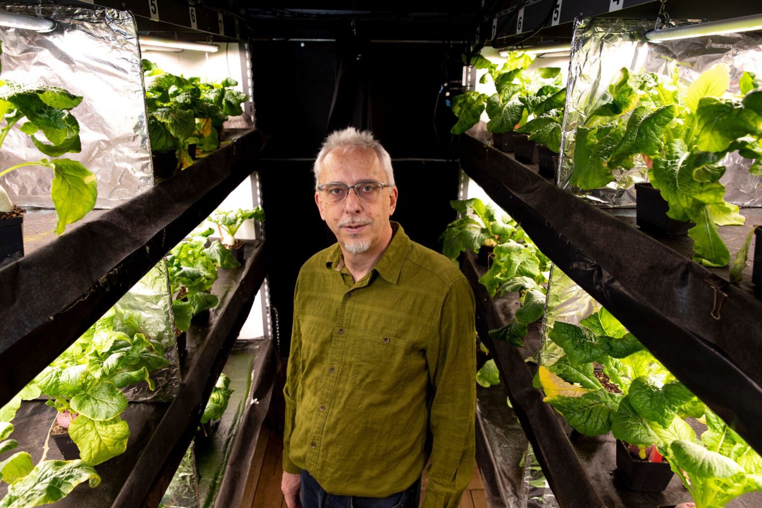 Marc Van Iersel among turnip plants in a grow room at his greenhouses. (Photo by Andrew Davis Tucker/UGA)