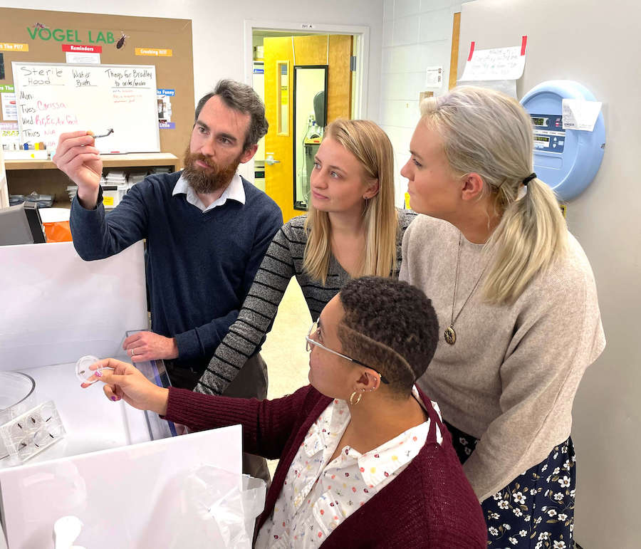 Entomology Assistant Professor Kevin Vogel, doctoral student Carissa Gilliland, undergraduate student Ashley Dombrowski and doctoral student Nia Keyes-Scott look at a kissing bug in the lab. (Submitted photo)