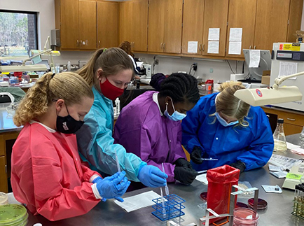 Georgia 4-H’ers perform a catalase test for the identification of bacteria as part of the hands-on learning opportunities during 4-H Vet Day at the UGA Tifton Veterinary Diagnostic and Investigational Laboratory.