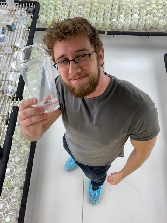 Taken from above, Vincent Pennetti, a second-year UGA plant breeding and genetics student, stands in the lab holding a clover specimen among racks of specimens