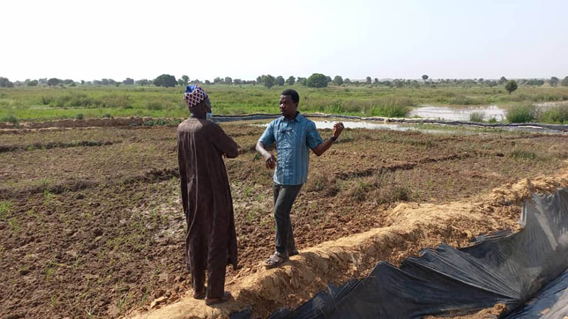 Researchers visit a rice field in the Ebonyi state in southeastern Nigeria.