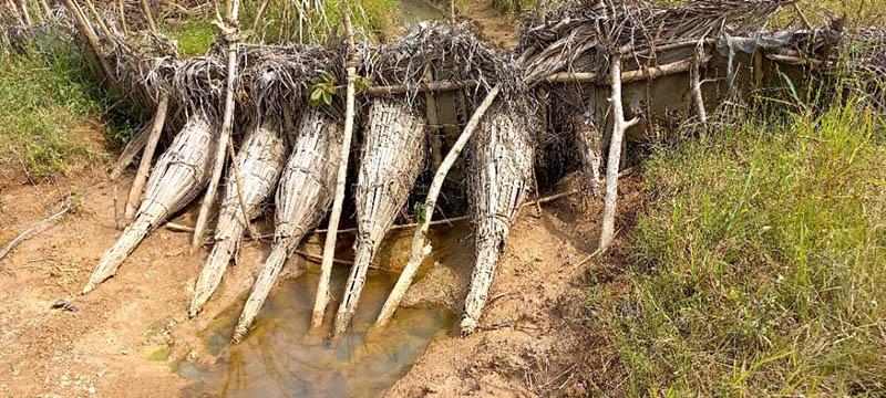 Researchers worked with producers to customize the aquaculture systems for each site.