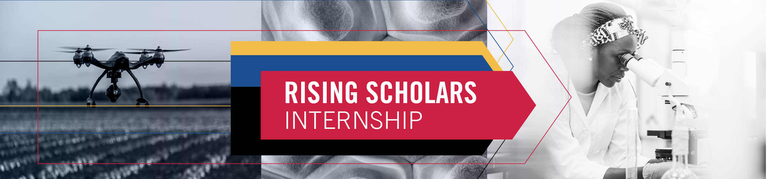 Rising Scholars Internship program banner image, including a photo of a drone and a person in a lab coat looking through a microscope