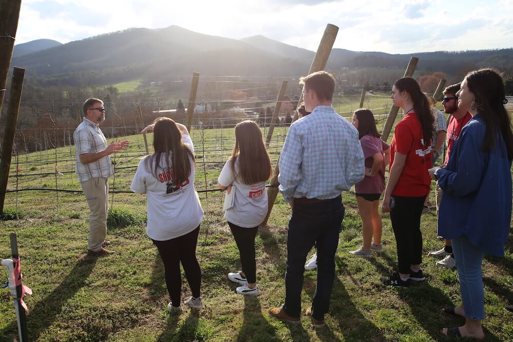 Students learn about research trials at the Georgia Mountain Research and Education Center in Blairsville