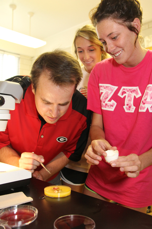 Robert Beckstead, poultry science associate professor, discusses embryo development with students in his Chickenology class. Beckstead was one of three exemplary UGA instructors to receive a Richard B. Russell Award this year.