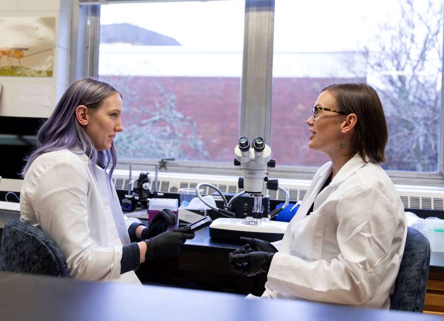 Kelsey Coffman sits in the lab with her graduate advisor, Associate Professor Gaelen Burke, having a conversation.