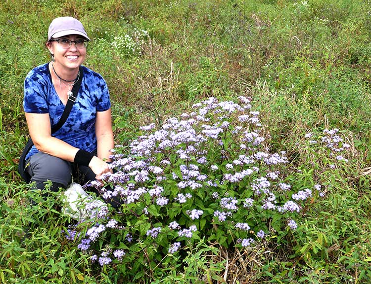 Bodie Pennisi next to a patch of bluemist at the Carter Farms solar site in Plains, Georgia.