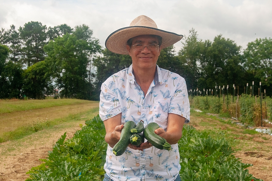 Horticulture Professor Juan Carlos Díaz-Pérez stands in the field wearing a sun hat and extending zucchinis toward the camera