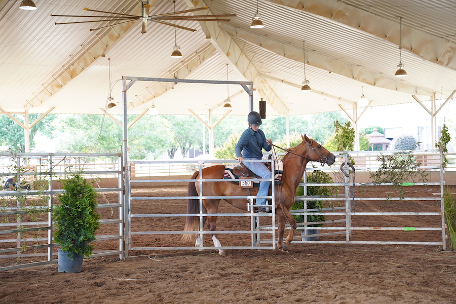 A young 4-H'er riding horseback comes through the gate at the Georgia National Fairgrounds in Perry. A vaulted ceiling with fans and light fixtures are lit from behind.