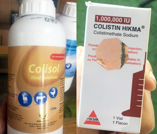 colistin (1)