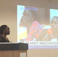 Danielle Essandoh, a Ugandan graduate student studying plant genetics, answers questions from Damaris Odeny, an experienced molecular plant breeder, at a recent in-person meeting. The innovation lab works to connect graduate students with mentors, as well as each other, to build networks for the future.