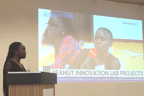 Danielle Essandoh, a Ugandan graduate student studying plant genetics, answers questions from Damaris Odeny, an experienced molecular plant breeder, at a recent in-person meeting. The innovation lab works to connect graduate students with mentors, as well as each other, to build networks for the future.