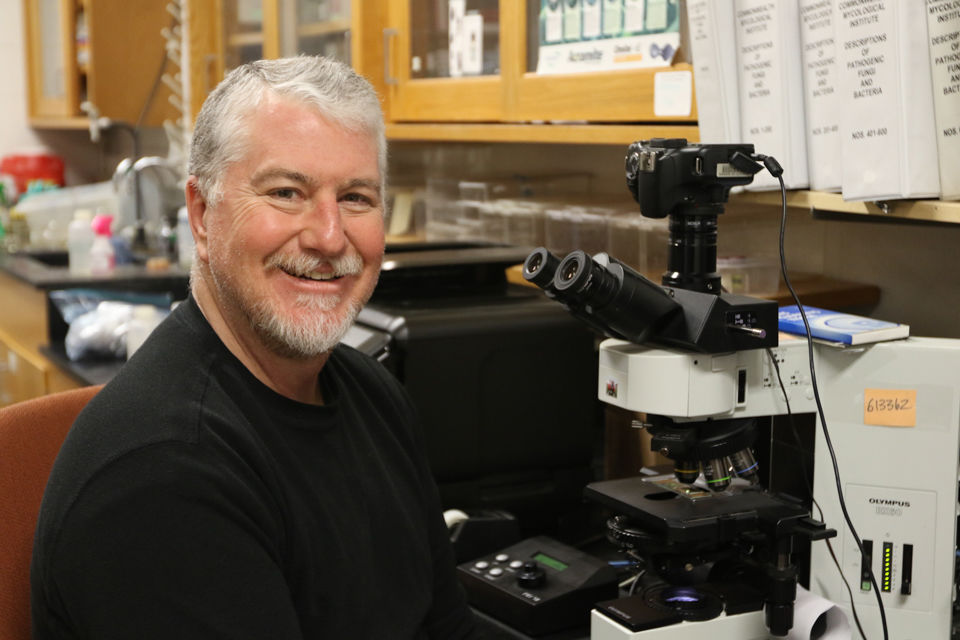 Phil Brannen sits at a microscope within his lab
