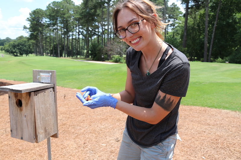 Taylor miller holds baby birds next to a nesting box on the UGA Golf Course, with greens and forested areas in the background.