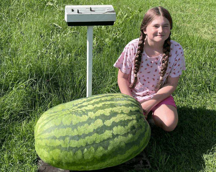 Madelynn Murphy, a fourth-grader from Appling County, poses in the grass with her winning 109-pound watermelon.