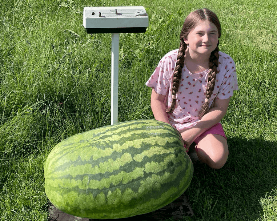 Fourth grader's 109-pound watermelon wins Georgia 4-H Watermelon Growing  Contest