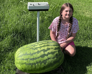 4-H Watermelon Contest