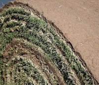 Consumers will pay more for sod this year as growers recover from rainy season and strong fall sales.