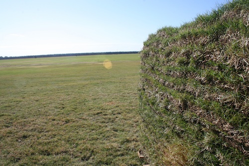 A sod pallet sets on a sod farm in Ft. Valley, Ga.