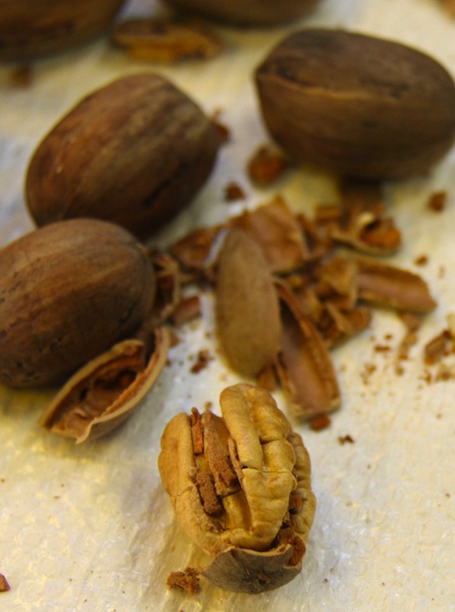 cracked pecans