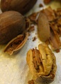 Pecans are well known in the United States, but not in European countries. Using a USDA grant, UGA researchers hope to promote the nut's health benefits and help growers with production and profitability.