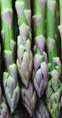 February is the right time to plant asparagus in Georgia backyard gardens.