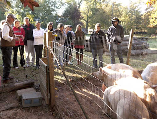 Retired faculty member Carl Jordan teaches a group of UGA students on his Athens, Ga., farm.