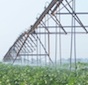 This is a file photo of a center pivot irrigation system being used.
