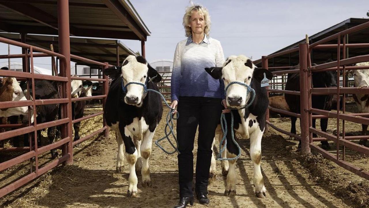 Animal geneticist Alison Van Eenennaam is the keynote speaker for the 2022 D.W. Brooks Lecture and Awards to be held Nov. 8. (Photo courtesy of UC Davis)