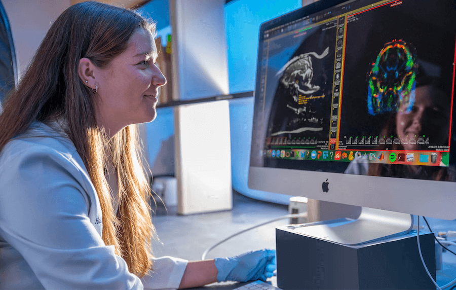 Undergraduate researcher and animal biology major Morgan Cunningham examines MRI images of a pig brain. (Photo by Dennis McDaniel)
