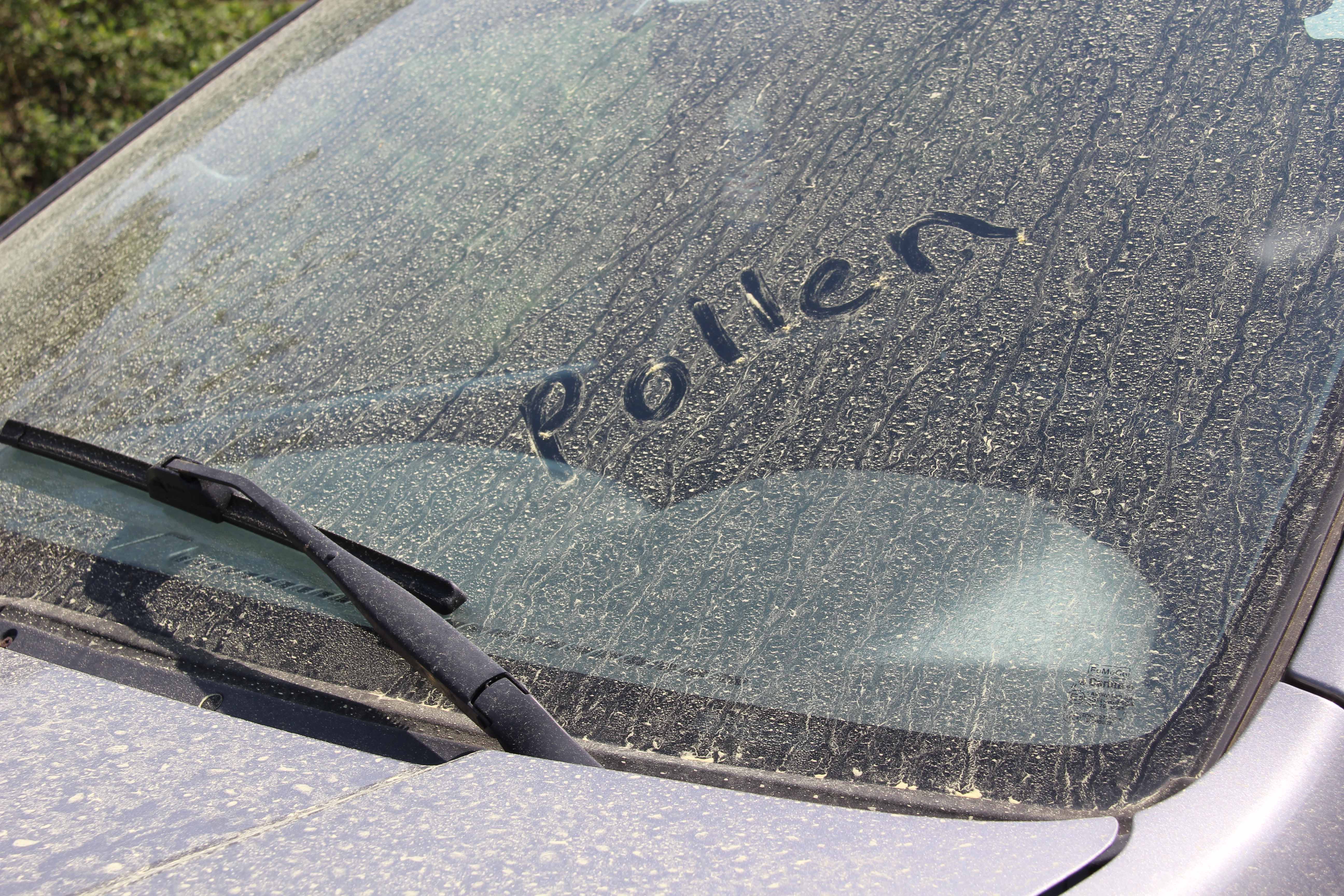 A photo of a car windshield covered with yellow pine pollen.
