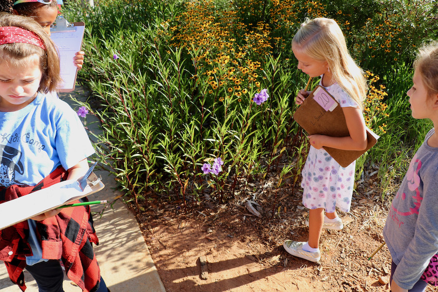 Students at Colham Ferry Elementary School participated in the state's first-ever pollinator census using clipboards and pencils in the school's gardens.