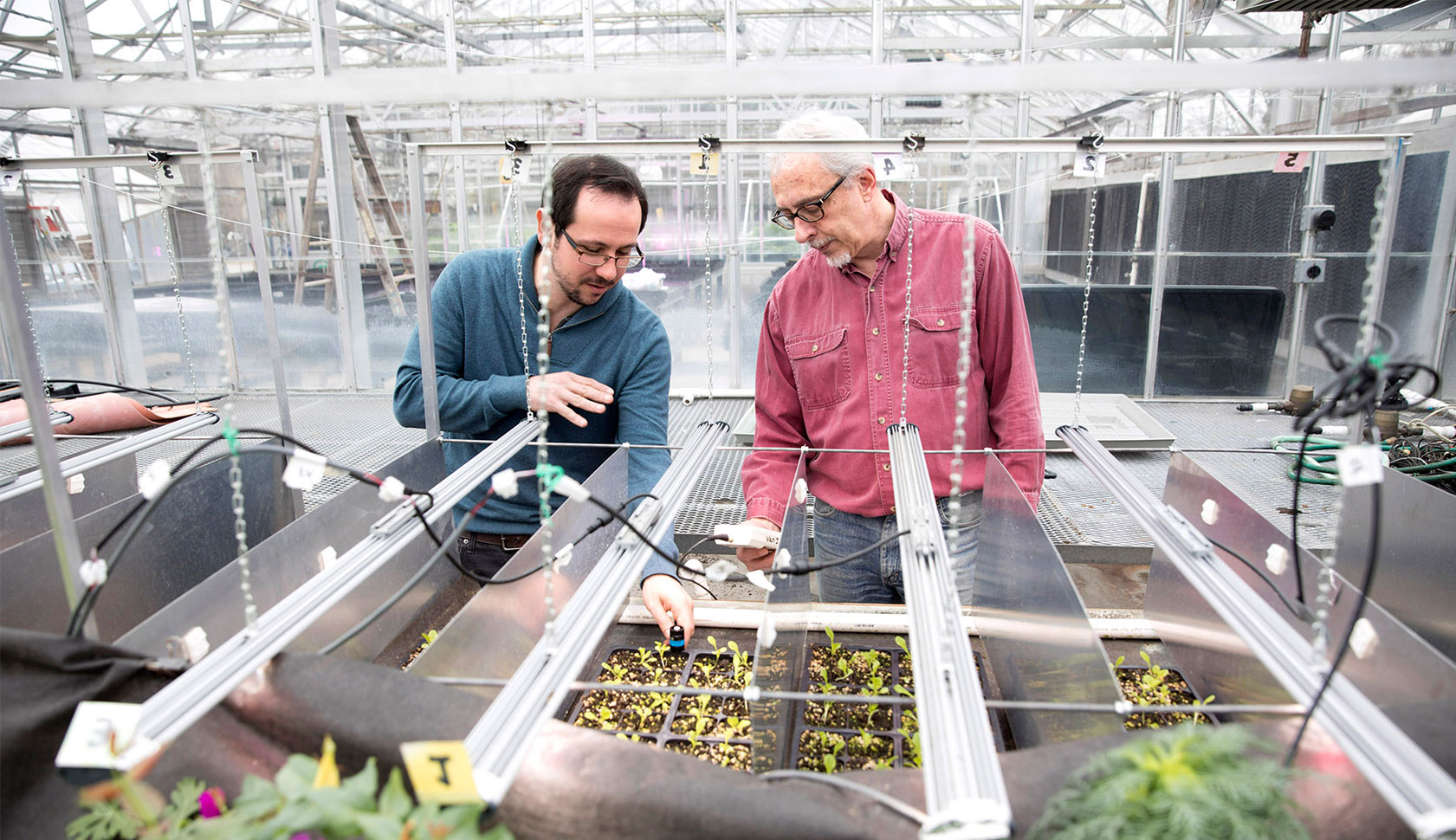 ‘Smart’ greenhouses could slash electricity costs: Horticultural lighting consumes $600 million worth of electricity every year, but a new, internet-connected greenhouse lighting system designed by researchers out of UGA’s College of Agricultural and Environmental Science could slash costs.