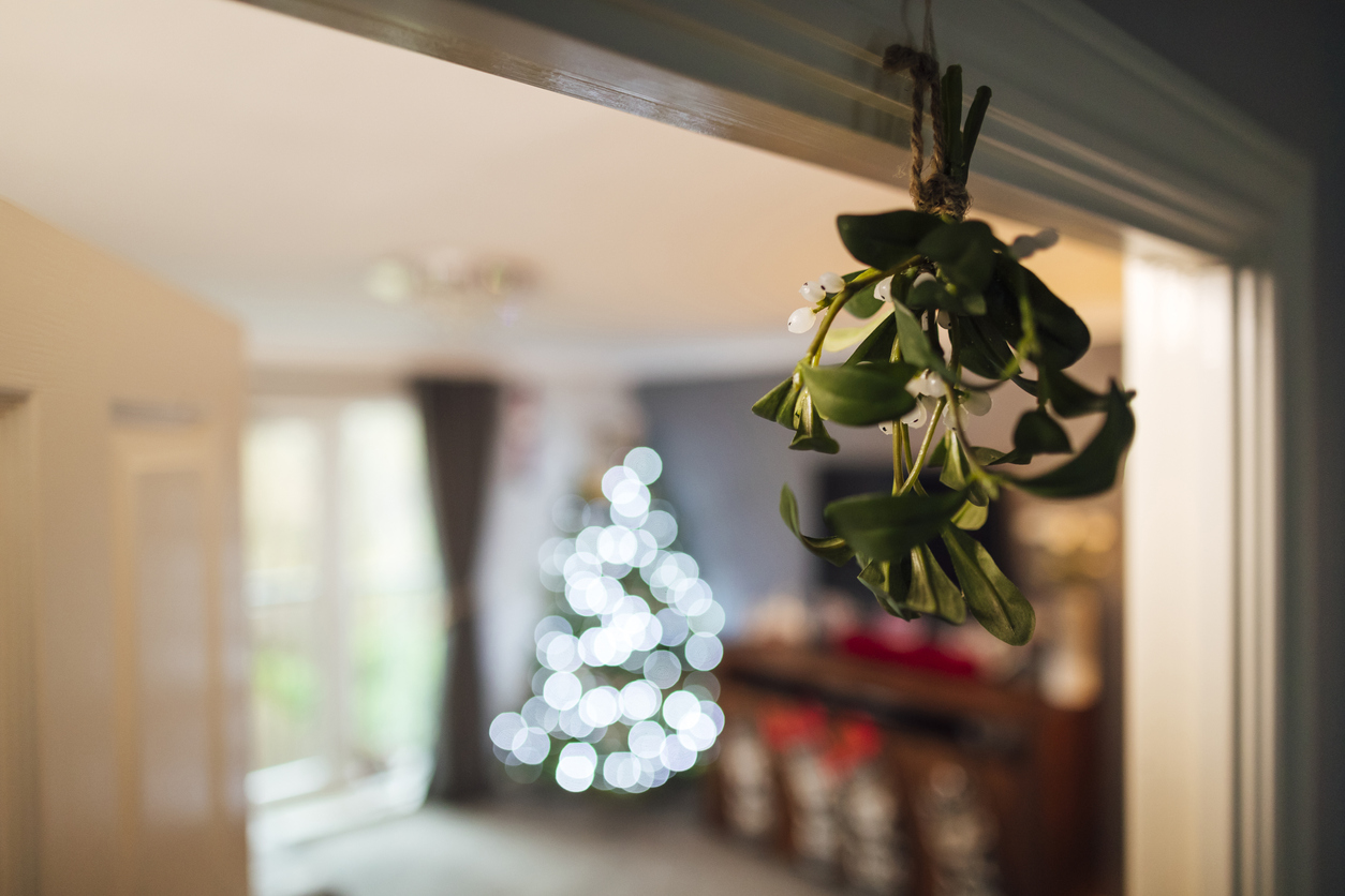Mistletoe's history as a symbol of fertility and love goes back thousands of years, well beyond today’s interpretation as Christmas décor, but when you get down to it, mistletoe is a parasite.