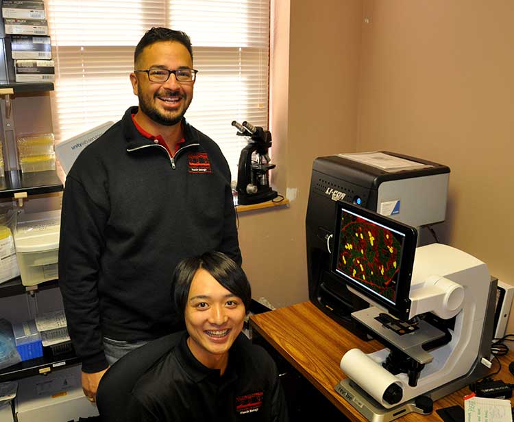 Associate professor John Gonzalez stands next to master's degree student Taketo Haginouchi next to a computer screen displaying magnified and colorized muscle fiber cells.