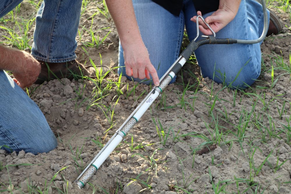 UGA Extension Agent and Grower Looking at Soil Moisture Sensor